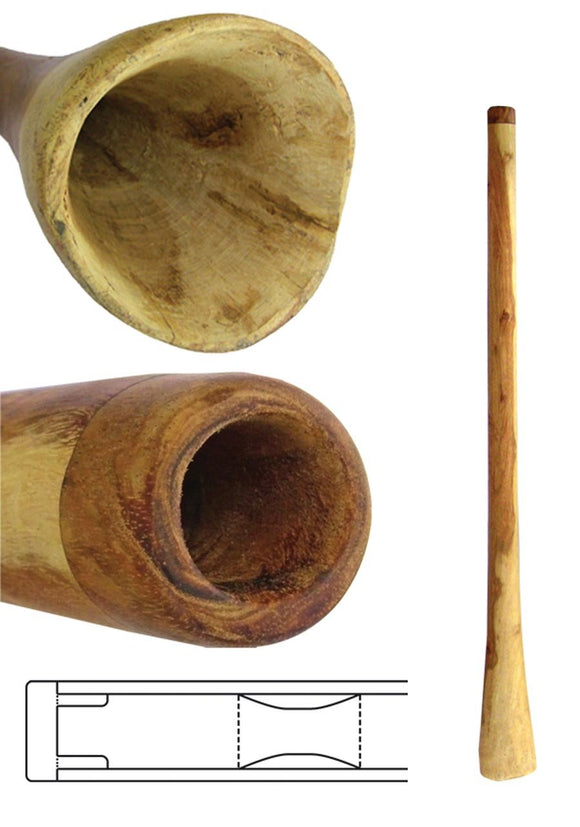 Didgeridoo - Treasures Didgeridoo: Natural Wood - Achat / Vente didgeridoo  Treasures Didgeridoo: Natural 