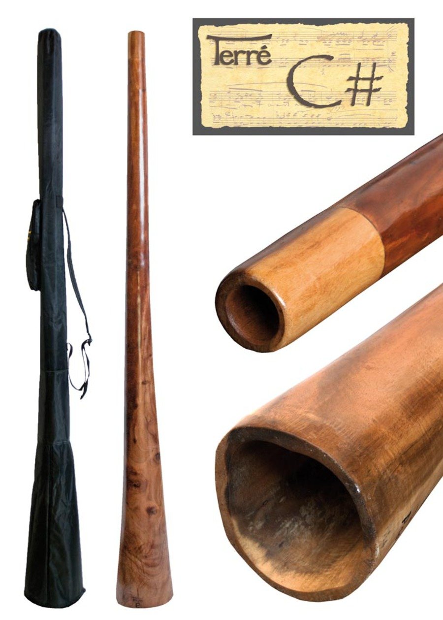 EUKALYPTUS DIDGERIDOO Grundton: international B (dt. H 2024 )